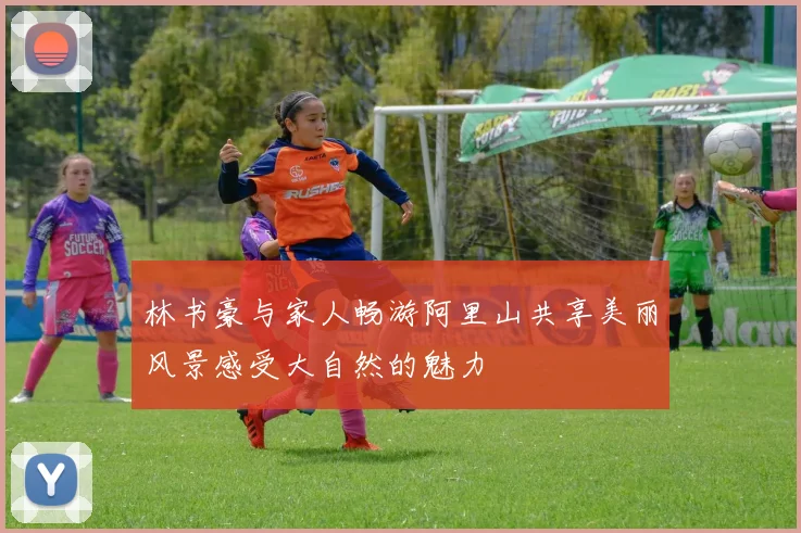 林书豪与家人畅游阿里山共享美丽风景感受大自然的魅力