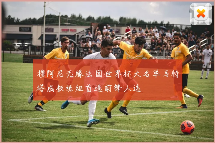 穆阿尼无缘法国世界杯大名单马特塔成教练组首选前锋人选